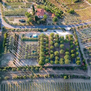Agricamping Poggio Ai Pini Wine Camping